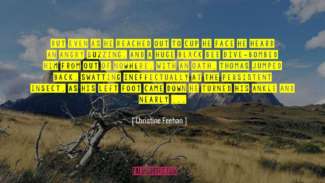 A Visitor From The Past quotes by Christine Feehan