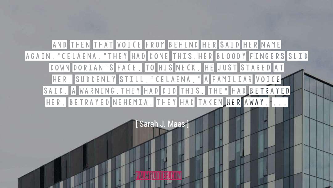 A Warning quotes by Sarah J. Maas