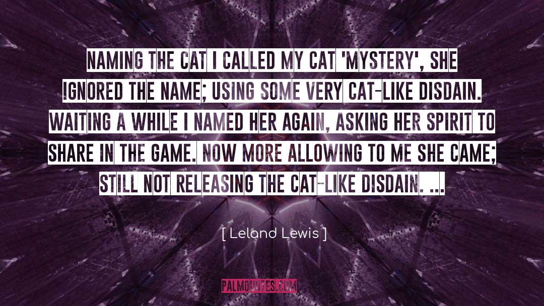 A While quotes by Leland Lewis