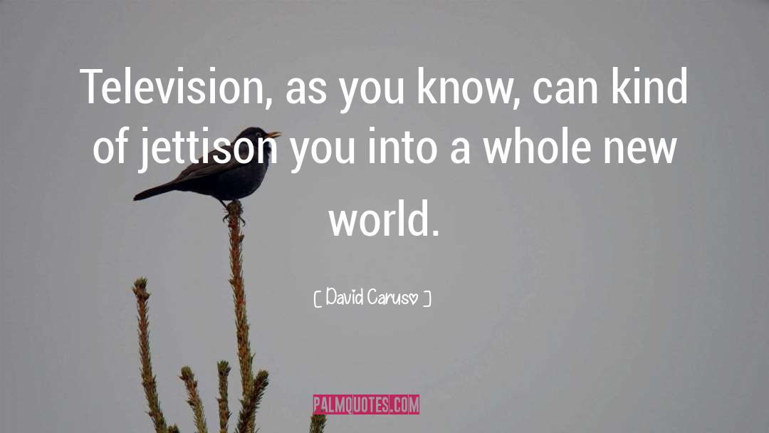 A Whole New World quotes by David Caruso