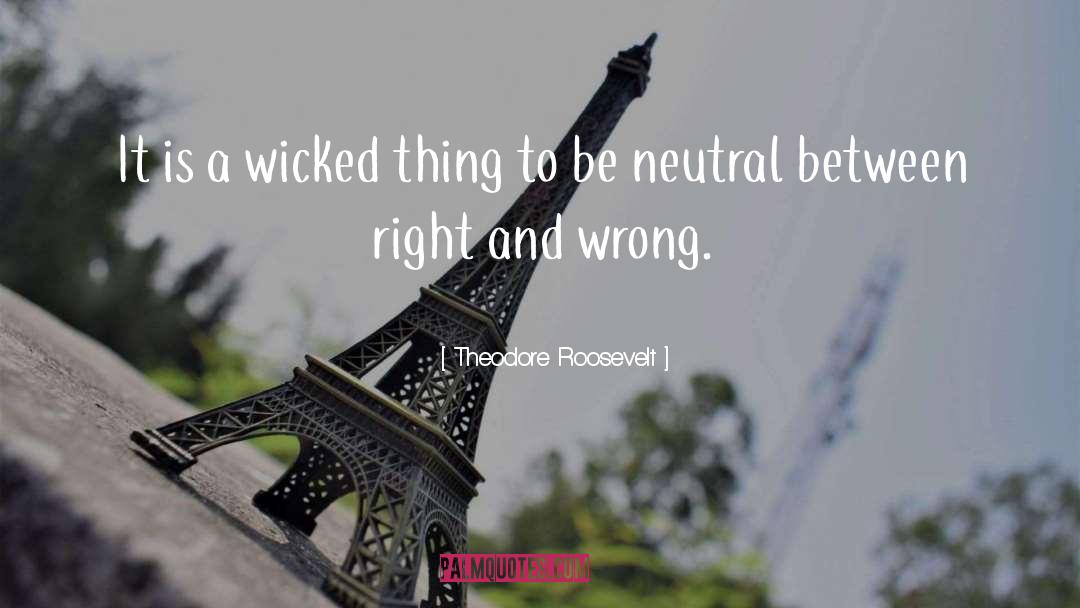 A Wicked Thing quotes by Theodore Roosevelt