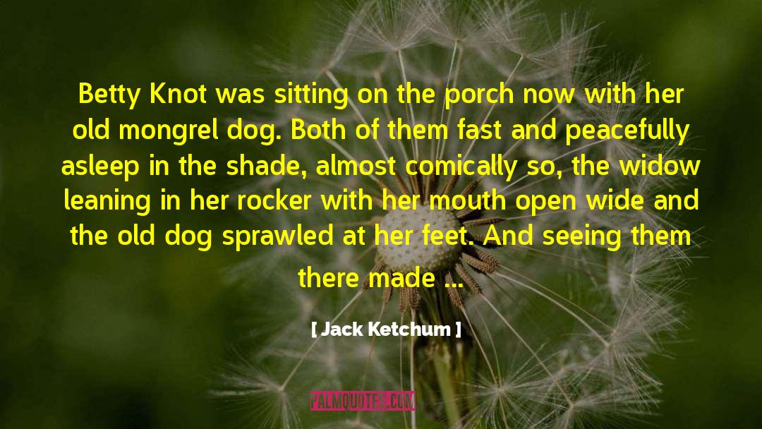 A Widow For One Year quotes by Jack Ketchum