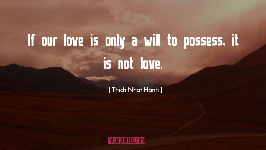 A Will quotes by Thich Nhat Hanh