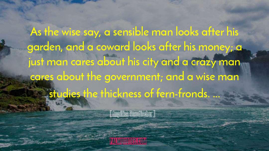 A Wise Man quotes by Angélica Gorodischer