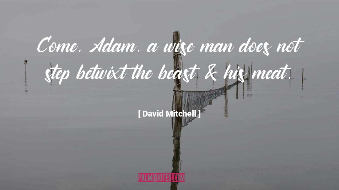 A Wise Man quotes by David Mitchell