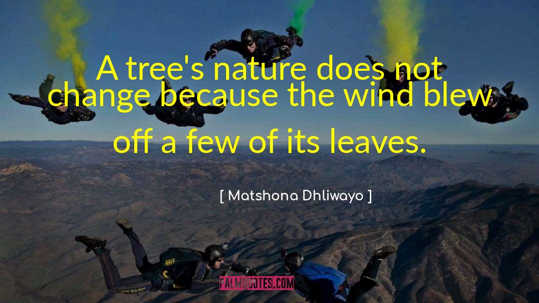 A Wise Woman quotes by Matshona Dhliwayo