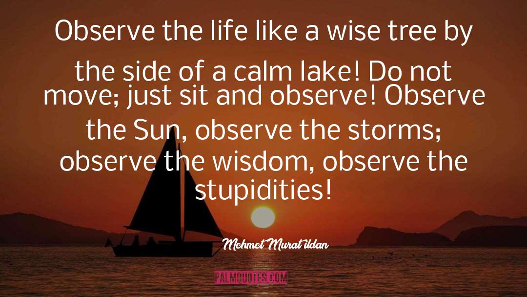A Wise Woman quotes by Mehmet Murat Ildan