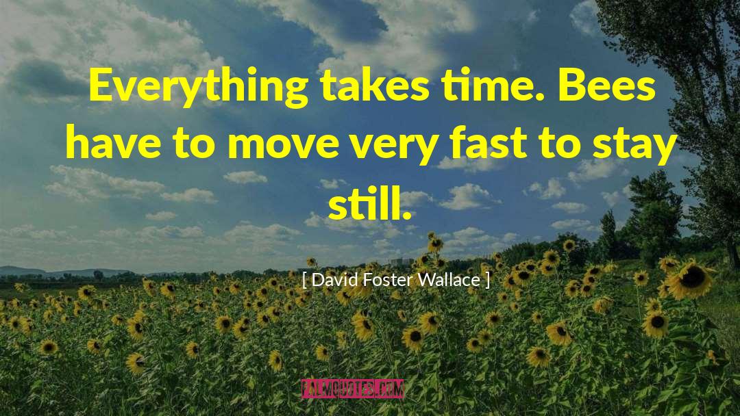 A1 quotes by David Foster Wallace
