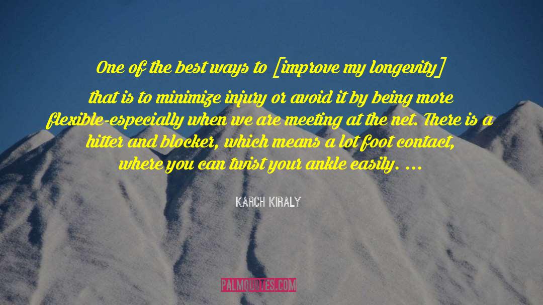 Aa Meeting quotes by Karch Kiraly