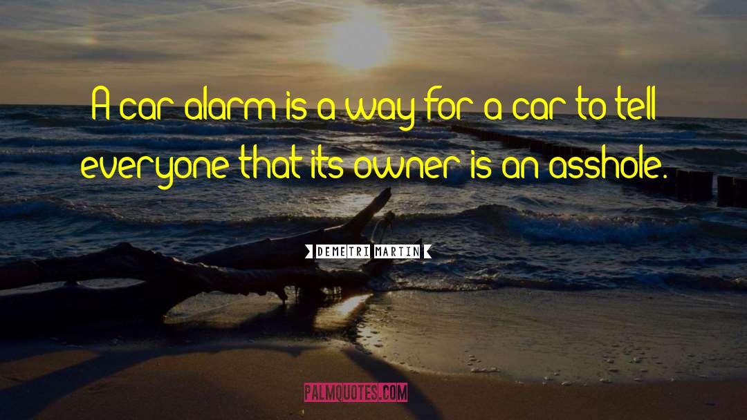 Aaa Car Rental quotes by Demetri Martin