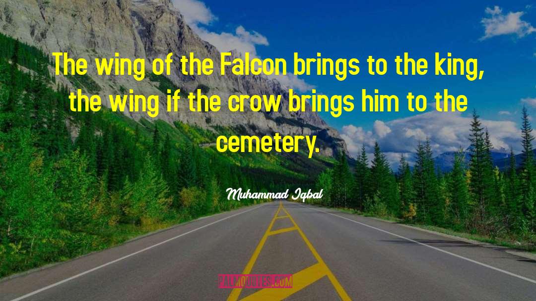 Aaaand The Falcon quotes by Muhammad Iqbal