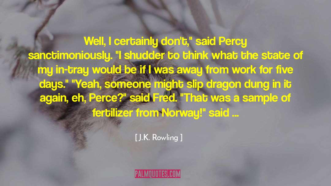 Aamot Norway quotes by J.K. Rowling