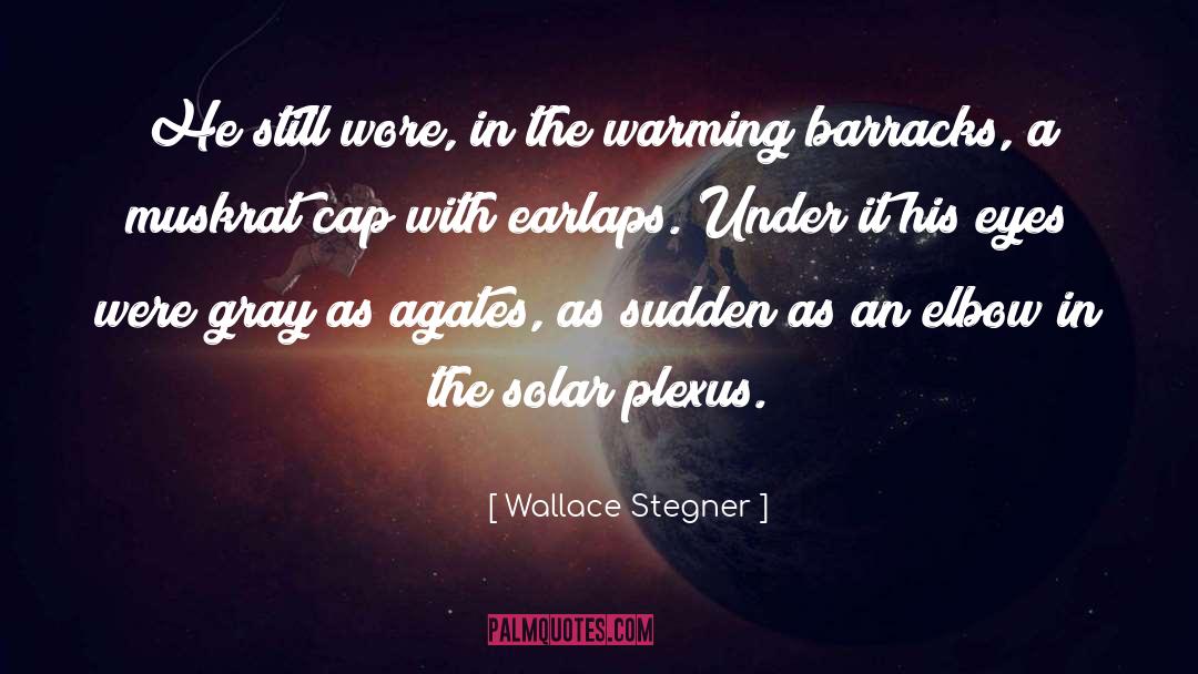 Aarden Solar quotes by Wallace Stegner