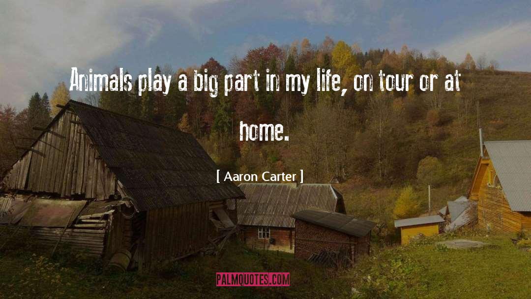 Aaron Nordquist quotes by Aaron Carter