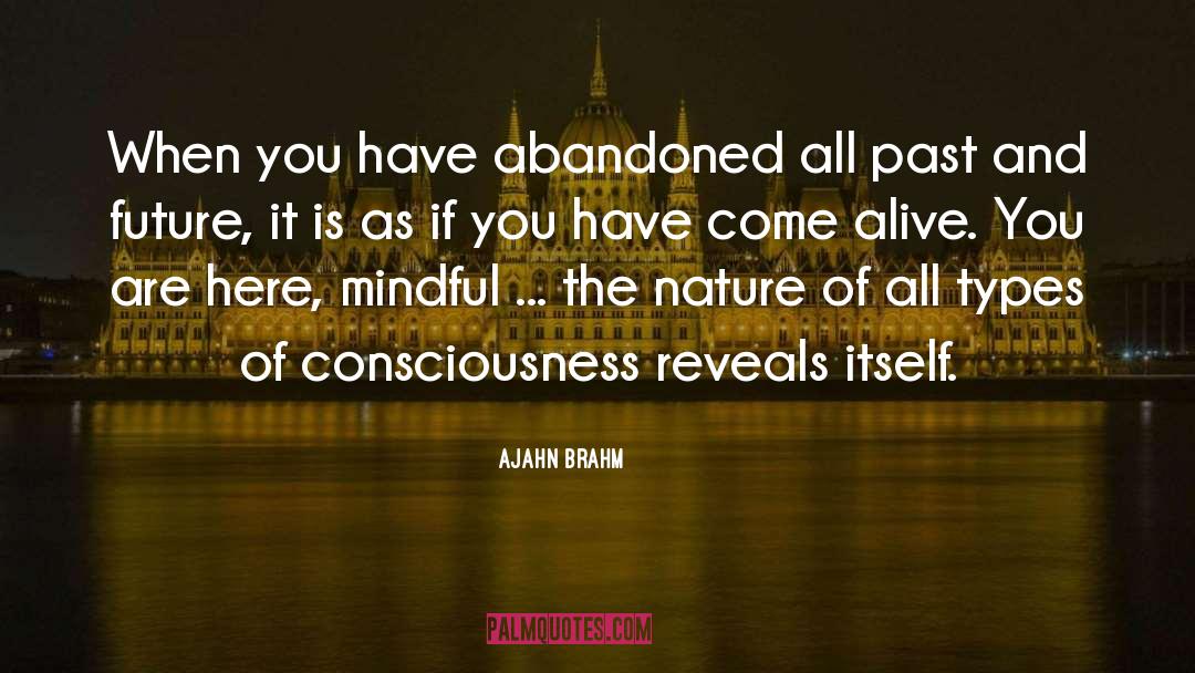 Abandoned Child quotes by Ajahn Brahm