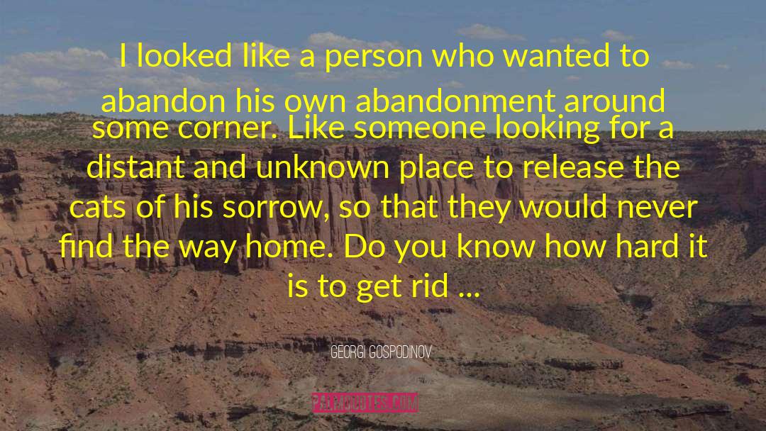Abandonment quotes by Georgi Gospodinov
