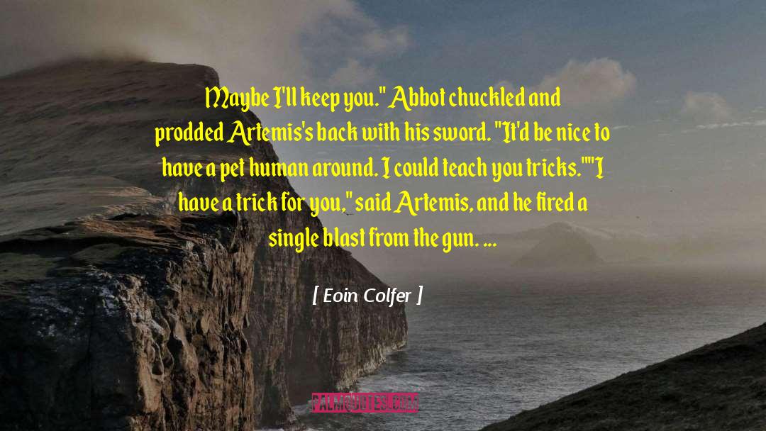 Abbot Suger quotes by Eoin Colfer