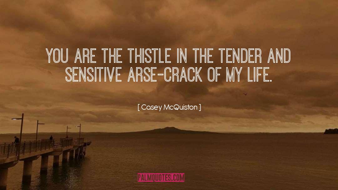 Abel Casey quotes by Casey McQuiston