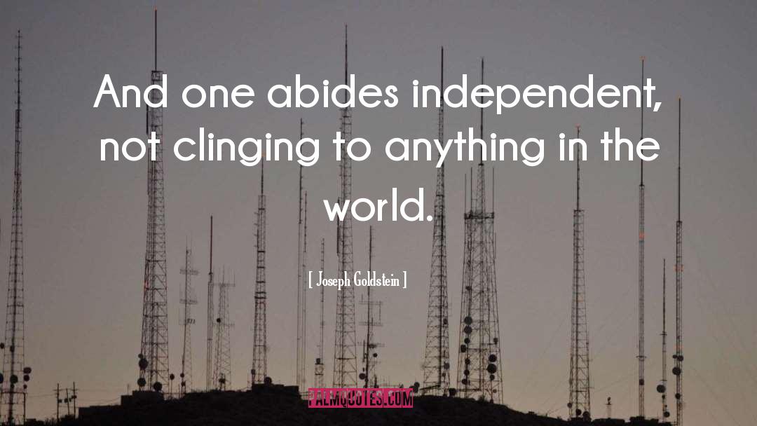 Abides quotes by Joseph Goldstein