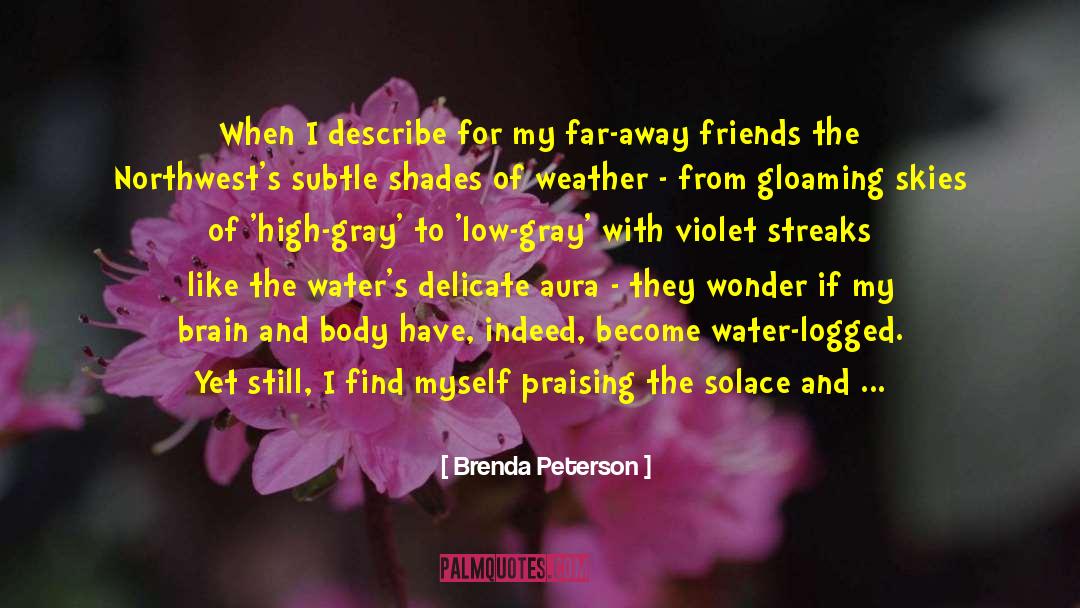 Abiding quotes by Brenda Peterson