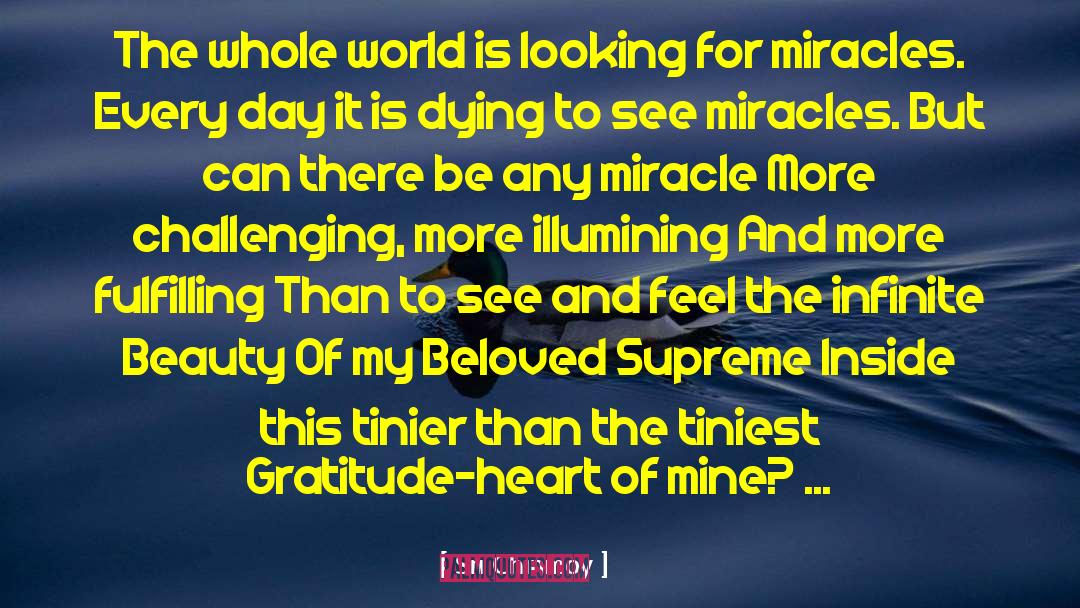 Ability To See Beauty quotes by Sri Chinmoy