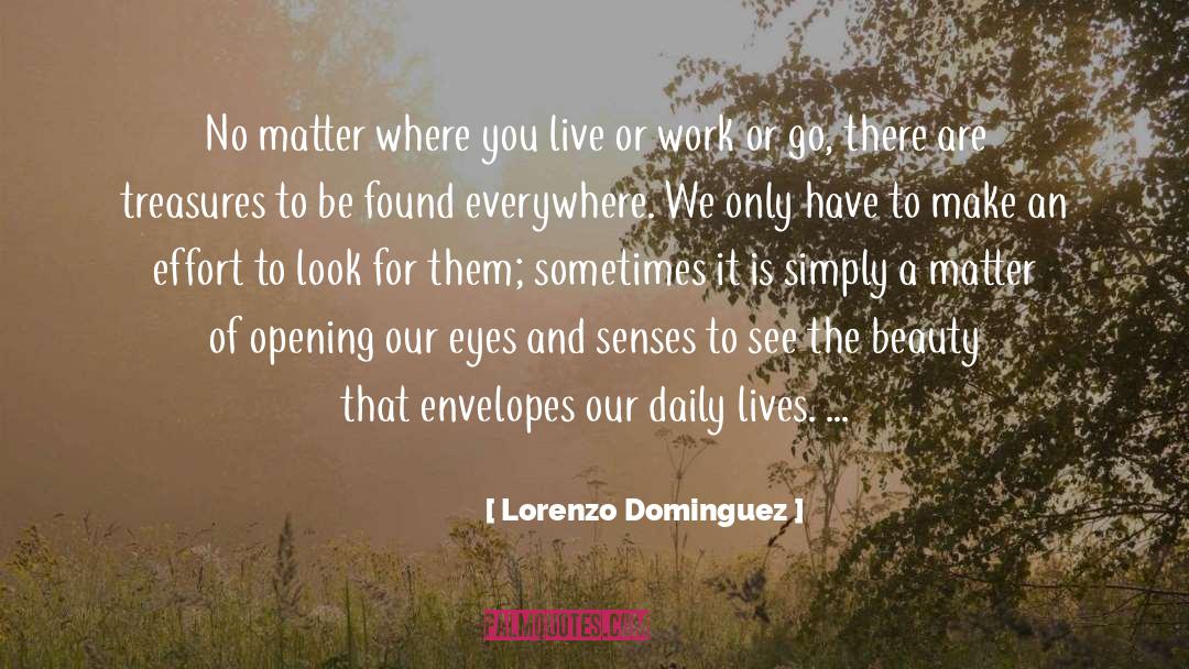 Ability To See Beauty quotes by Lorenzo Dominguez
