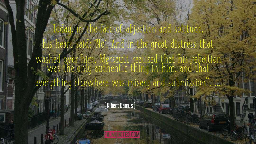 Abjection quotes by Albert Camus