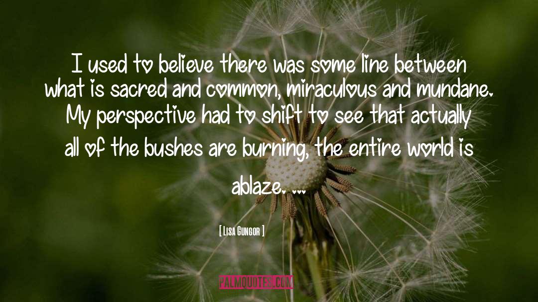 Ablaze quotes by Lisa Gungor