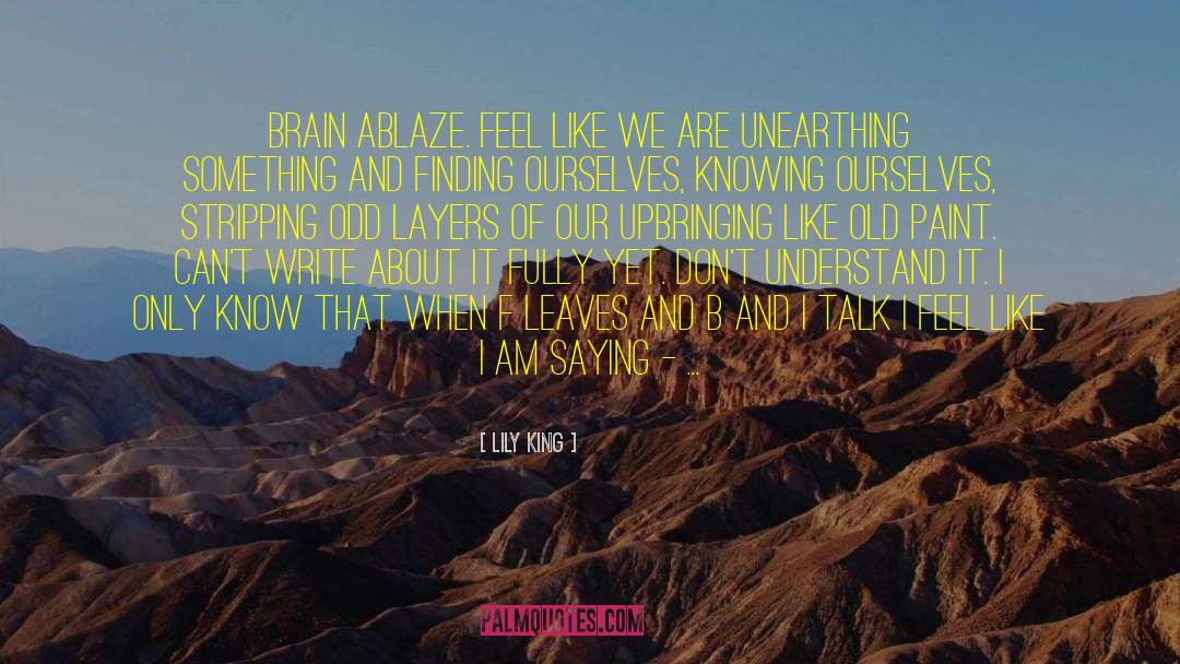 Ablaze quotes by Lily King