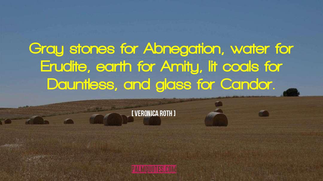 Abnegation quotes by Veronica Roth