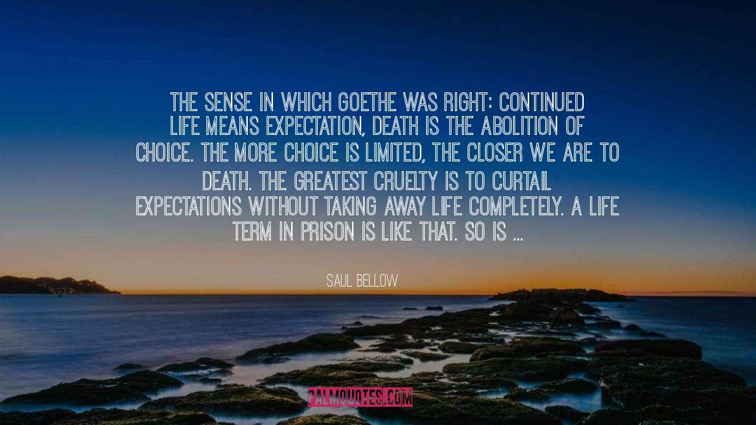 Abolition quotes by Saul Bellow