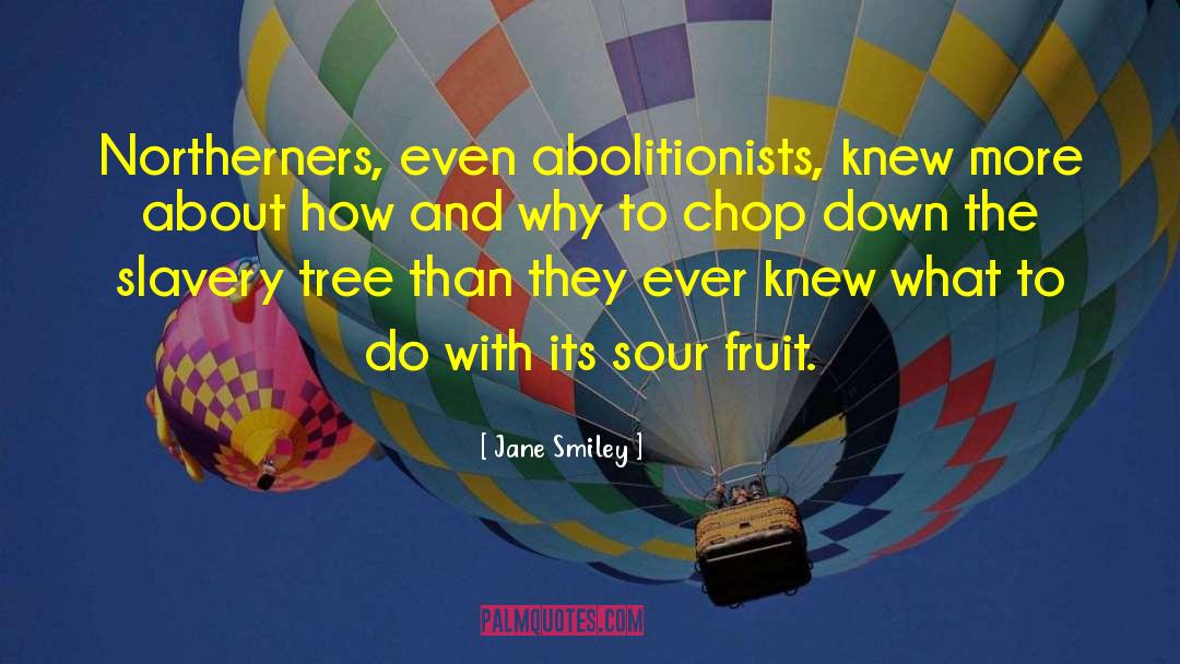 Abolitionists quotes by Jane Smiley