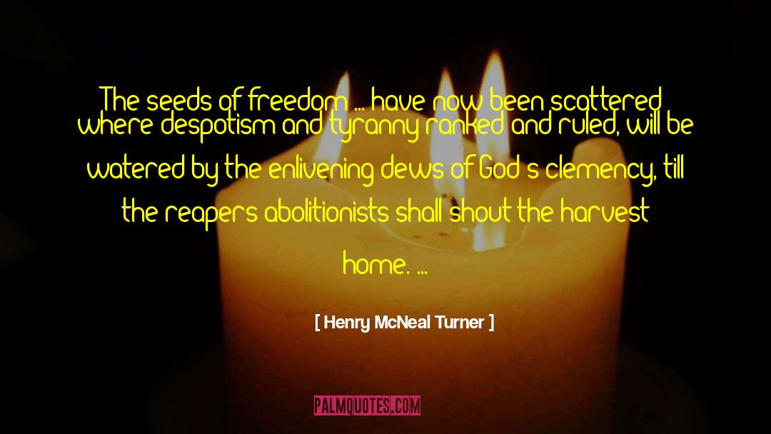 Abolitionists quotes by Henry McNeal Turner