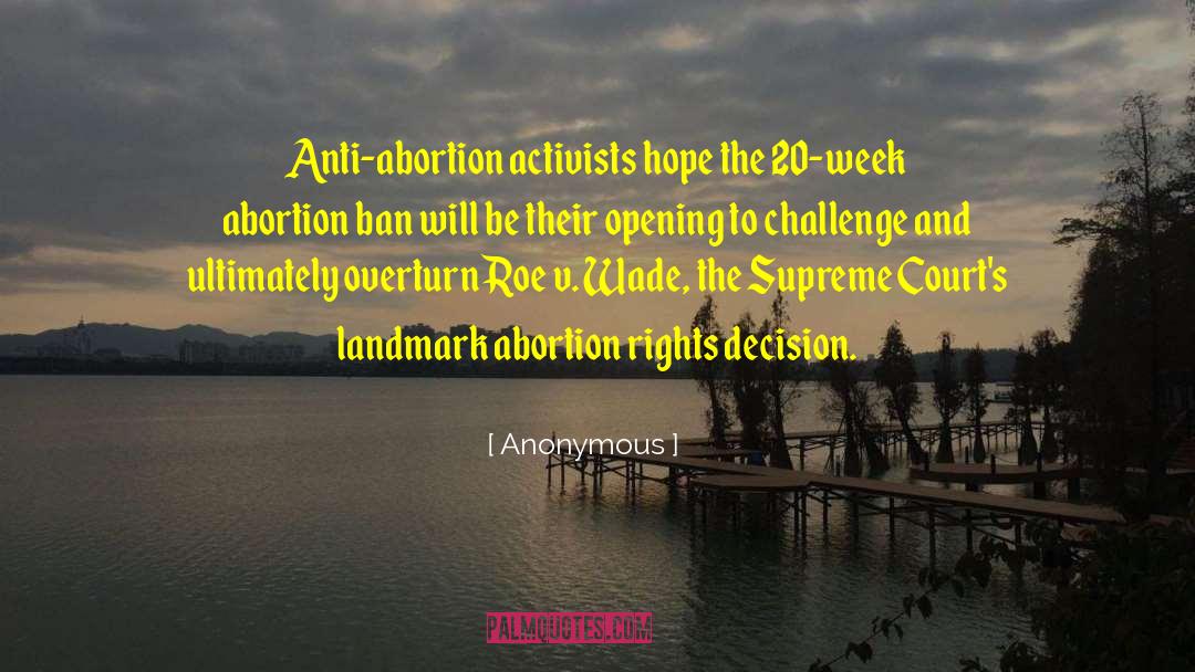 Abortion Rights quotes by Anonymous