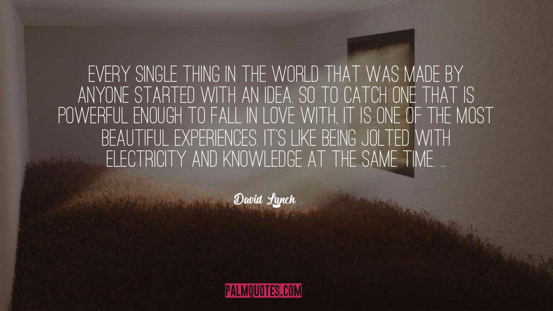 About Falling In Love quotes by David Lynch