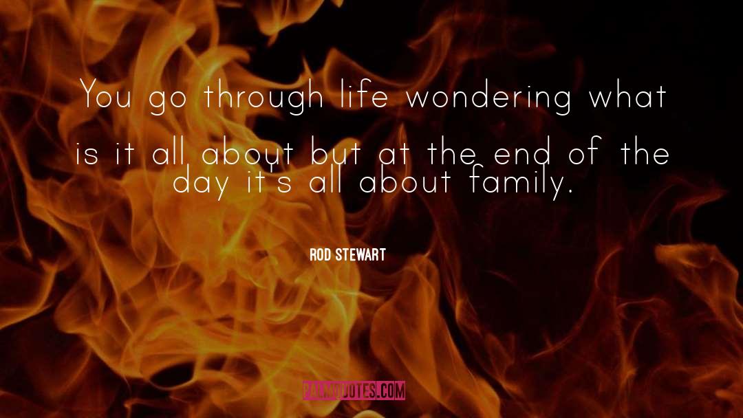 About Family quotes by Rod Stewart