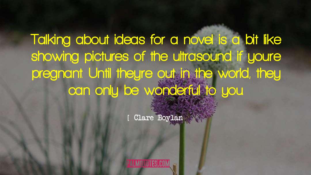 About Ideas quotes by Clare Boylan