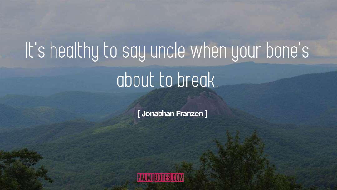 About To Break quotes by Jonathan Franzen