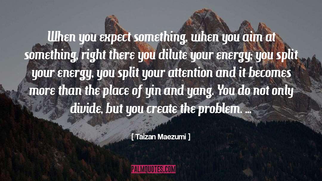 About Yin Yang quotes by Taizan Maezumi