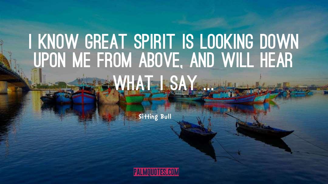Above quotes by Sitting Bull