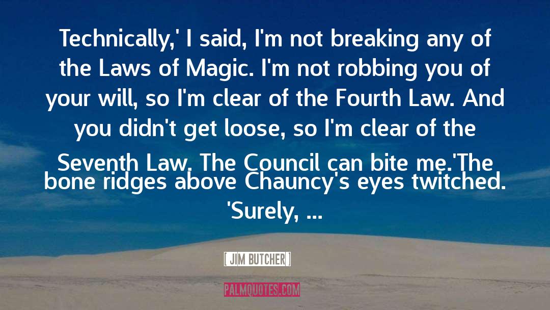 Above The Law Memorable quotes by Jim Butcher