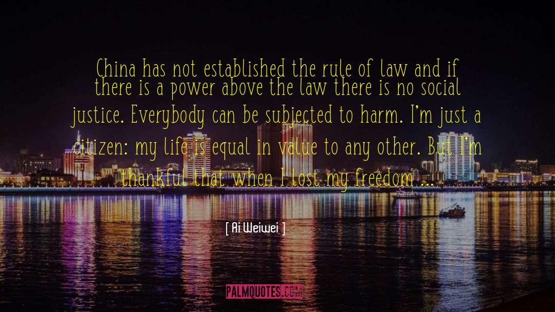 Above The Law quotes by Ai Weiwei