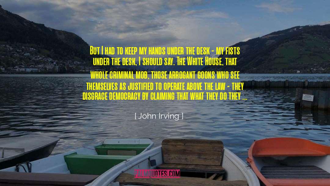 Above The Law quotes by John Irving