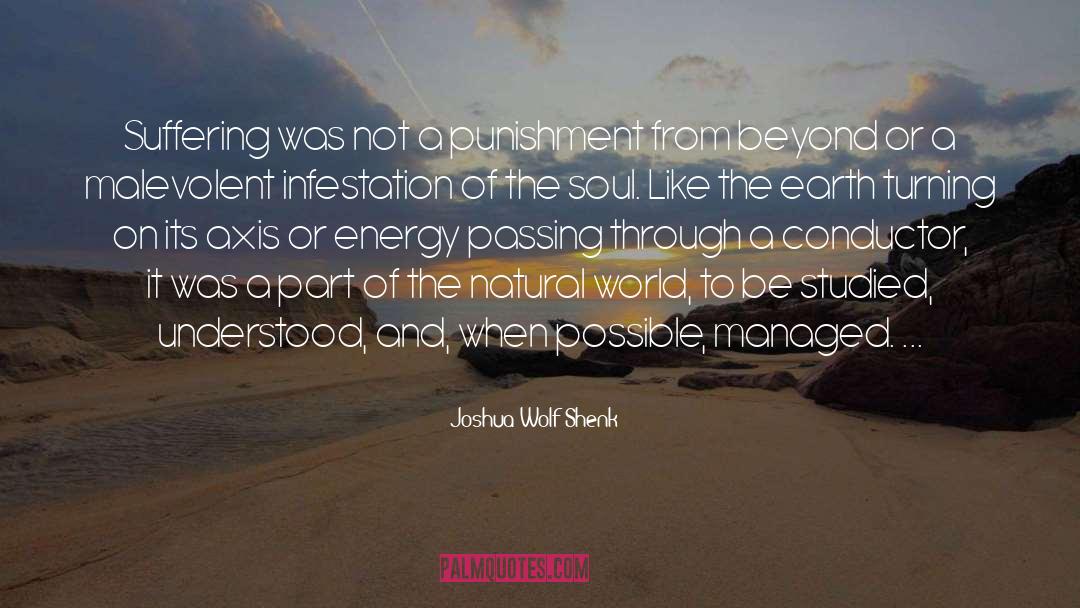 Absence Of Suffering quotes by Joshua Wolf Shenk