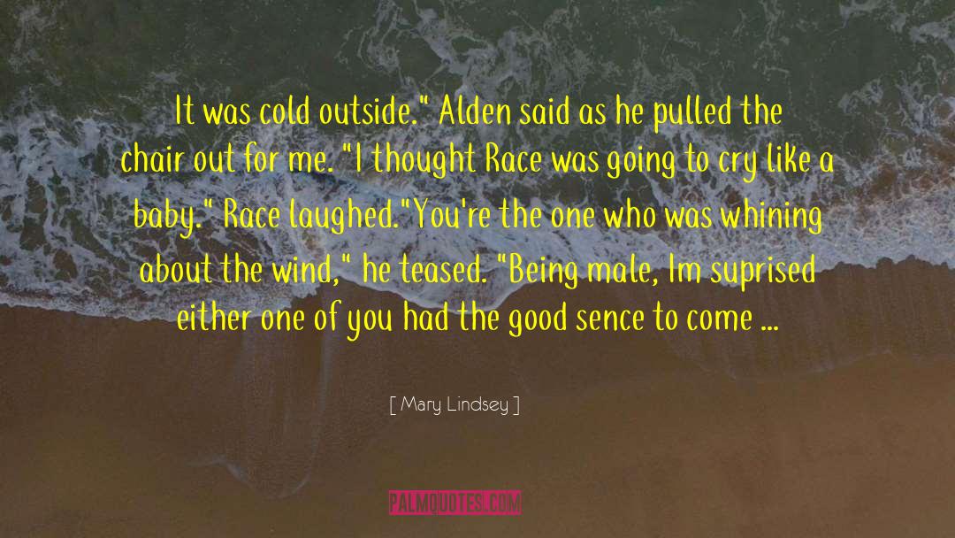 Absence Of The Me quotes by Mary Lindsey