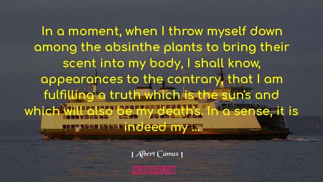 Absinthe quotes by Albert Camus