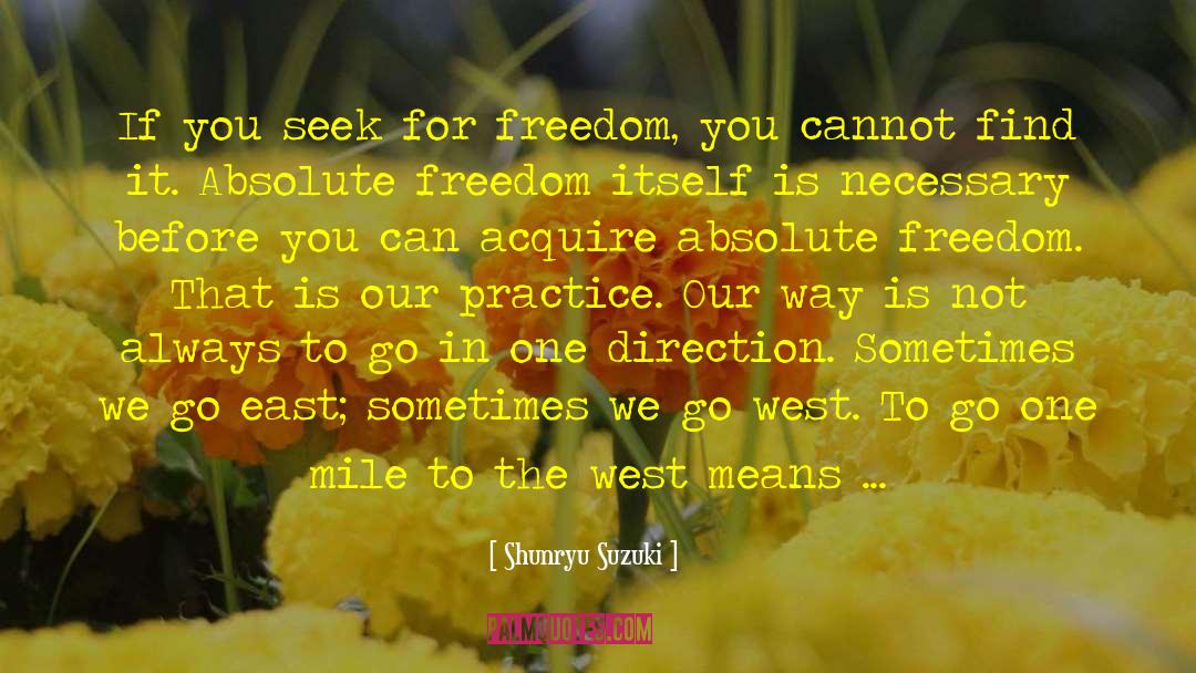 Absolute Freedom quotes by Shunryu Suzuki