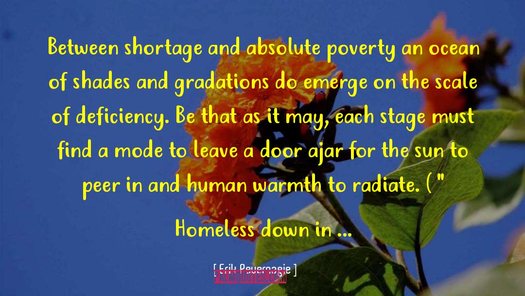 Absolute Poverty quotes by Erik Pevernagie