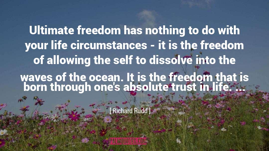 Absolute Trust quotes by Richard Rudd