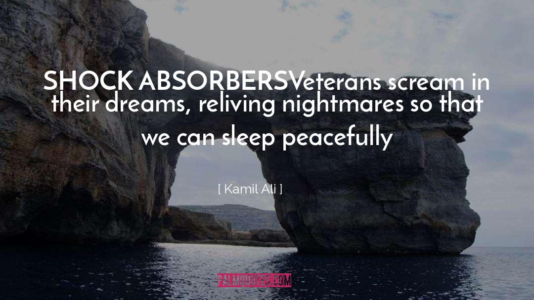 Absorber quotes by Kamil Ali